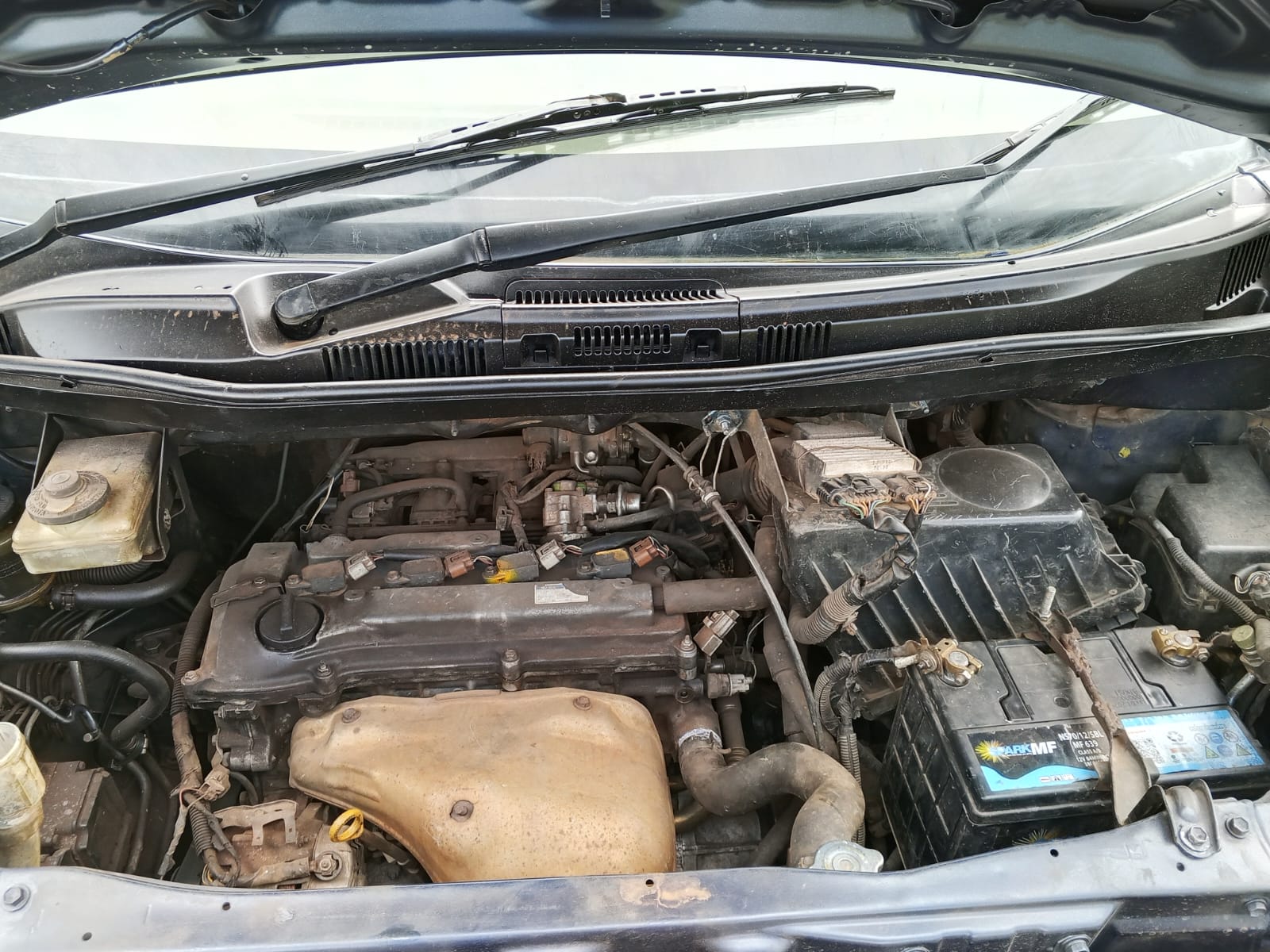 2003 TOYOTA Noah - Peach Cars
