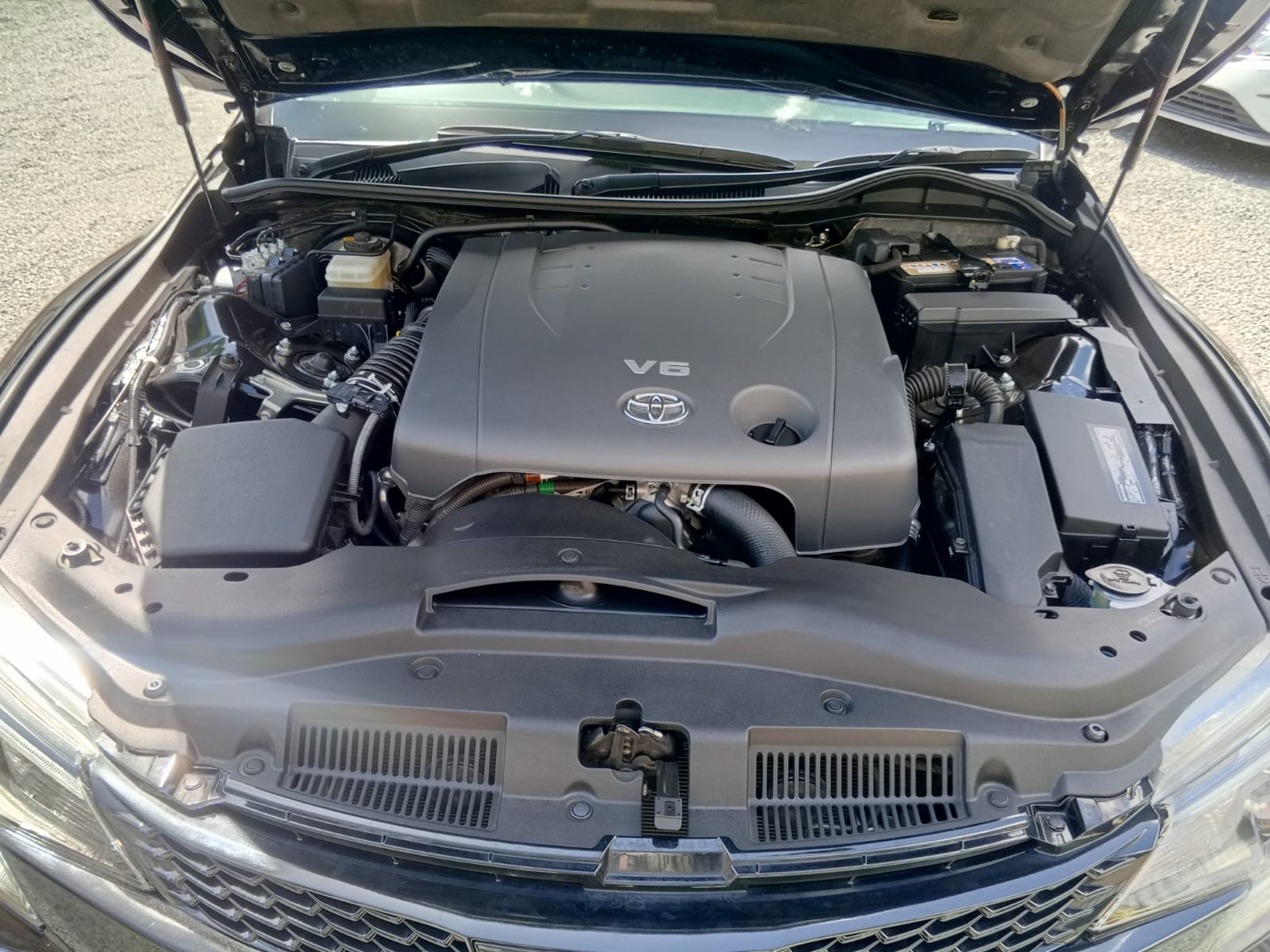 Markx Modified Engine Image 14